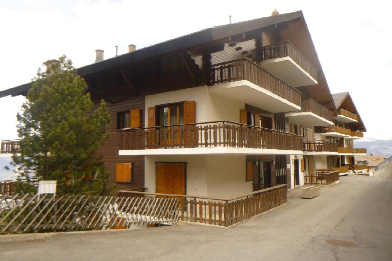 Greppons Cosy & Mountain Apartments By Alpvision Residences Veysonnaz ภายนอก รูปภาพ